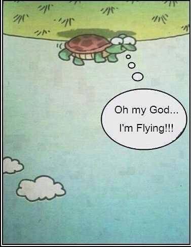 Travel Report tweet media