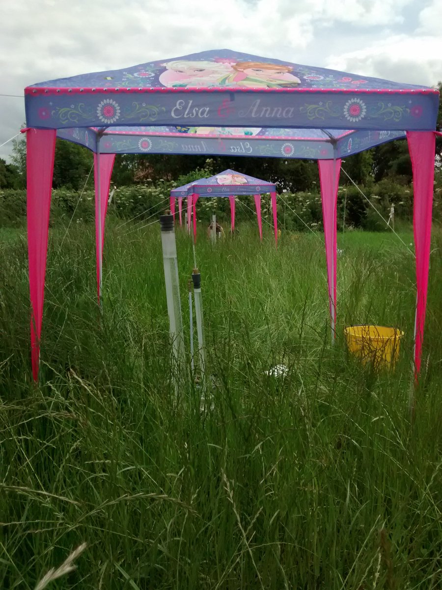 Richard Grayson (@rggeo) on Twitter photo Hello sun, time to get cracking with infiltration measurements #soilbiohedge <a href="/WRSusAg/">White Rose Sus. Ag.</a> <a href="/Soil_Security/">Soil Security Team</a> #nattysunshade Hello sun, time to get cracking with infiltration measurements #soilbiohedge <a href="/WRSusAg/">White Rose Sus. Ag.</a> <a href="/Soil_Security/">Soil Security Team</a> #nattysunshade