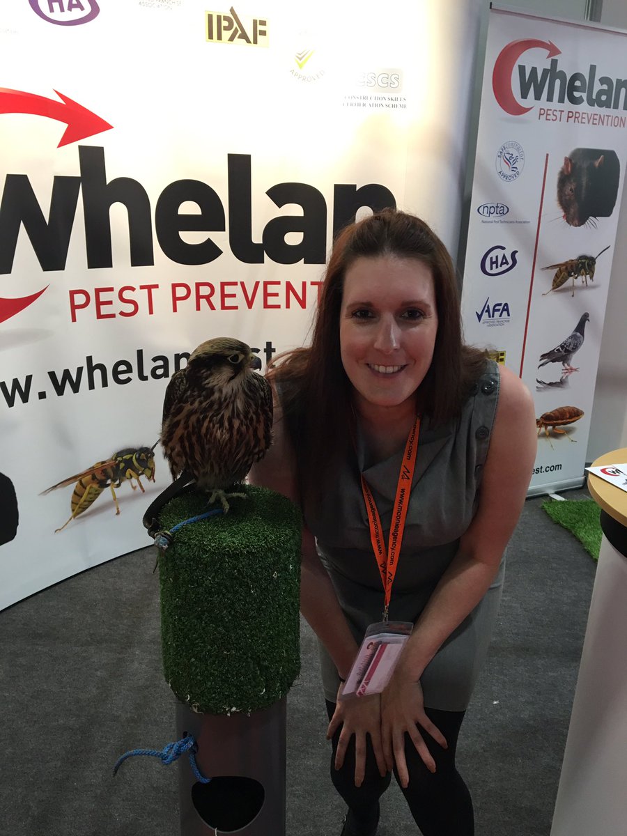 Best #lanyardselfie yet - Delilah the falcon <a href="/WhelanPest/">PLEASE UNFOLLOW</a> <a href="/McOnieAgency/">McOnie</a> <a href="/Facilities_Show/">Facilities Show</a> #facman