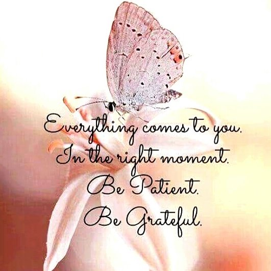PureSkinMarbell's tweet photo. #live each moment 🌸 https://t.co/4sXnffSKm4 https://t.co/2earubRbEE