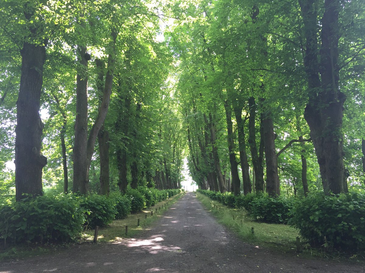 KorBerghuis's tweet photo. Even genieten en zo dichtbij. @Verhildersum https://t.co/hDpskS6GqH
