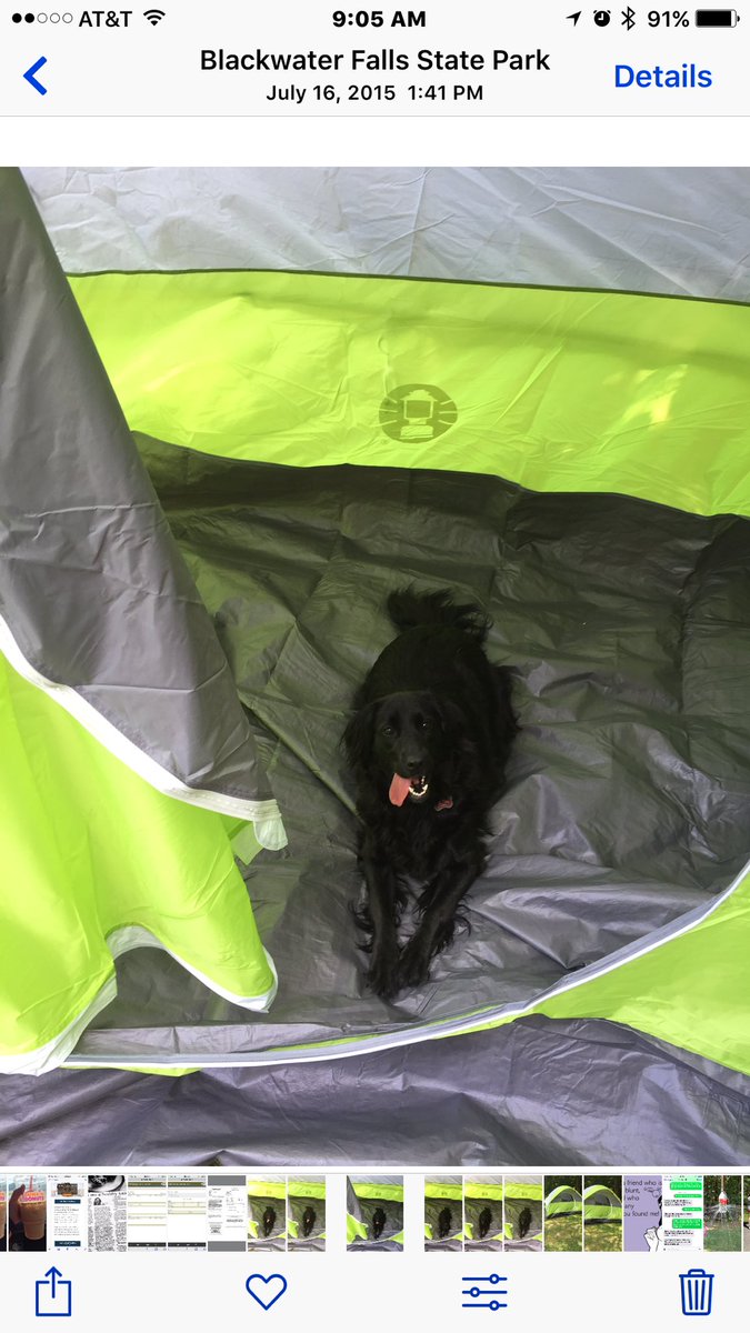alandisteach's tweet photo. Favorite camping adventure! @InfusingTechWV #itechwv #blackwaterfalls #camping https://t.co/rFHZgvqQ9P