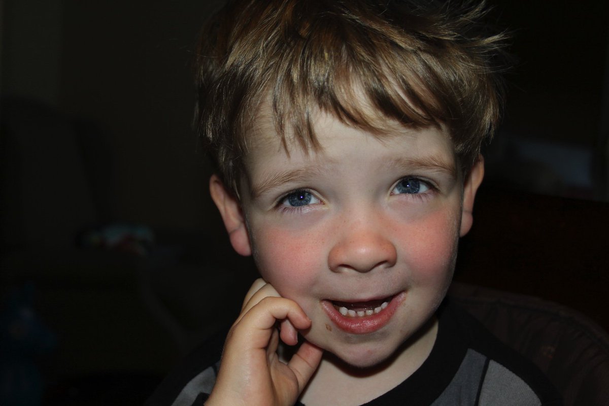wilcomccain's tweet photo. Sweet little Gus-man! https://t.co/yQX9UIywWQ
