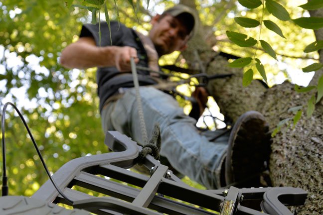 Have you hung stands yet? Why, When & Where to Hang Treestands ...