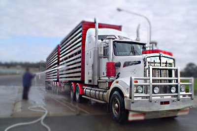 welshpoolwash's tweet photo. Welshpool Wash: #TruckWash in Australia Perth
visit our various services
 Get in Touch @ https://t.co/1lipB0nPFZ https://t.co/I7qKwnQMMo