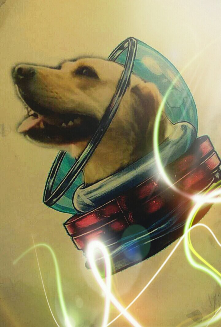 UlloaZ65's tweet photo. Mi gorda hermosa que la amo... https://t.co/CvBLHlFV8o