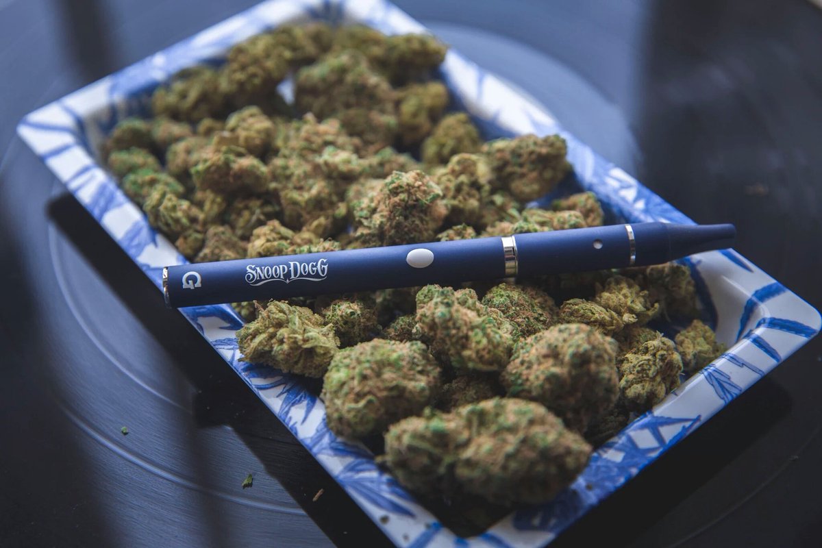 Blunt_cube's tweet photo. puff puff pass tuesday👽 https://t.co/27vek3HxcP