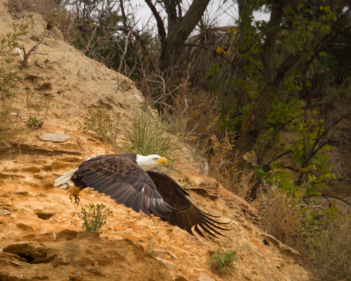 Gavins Point NFH tweet media