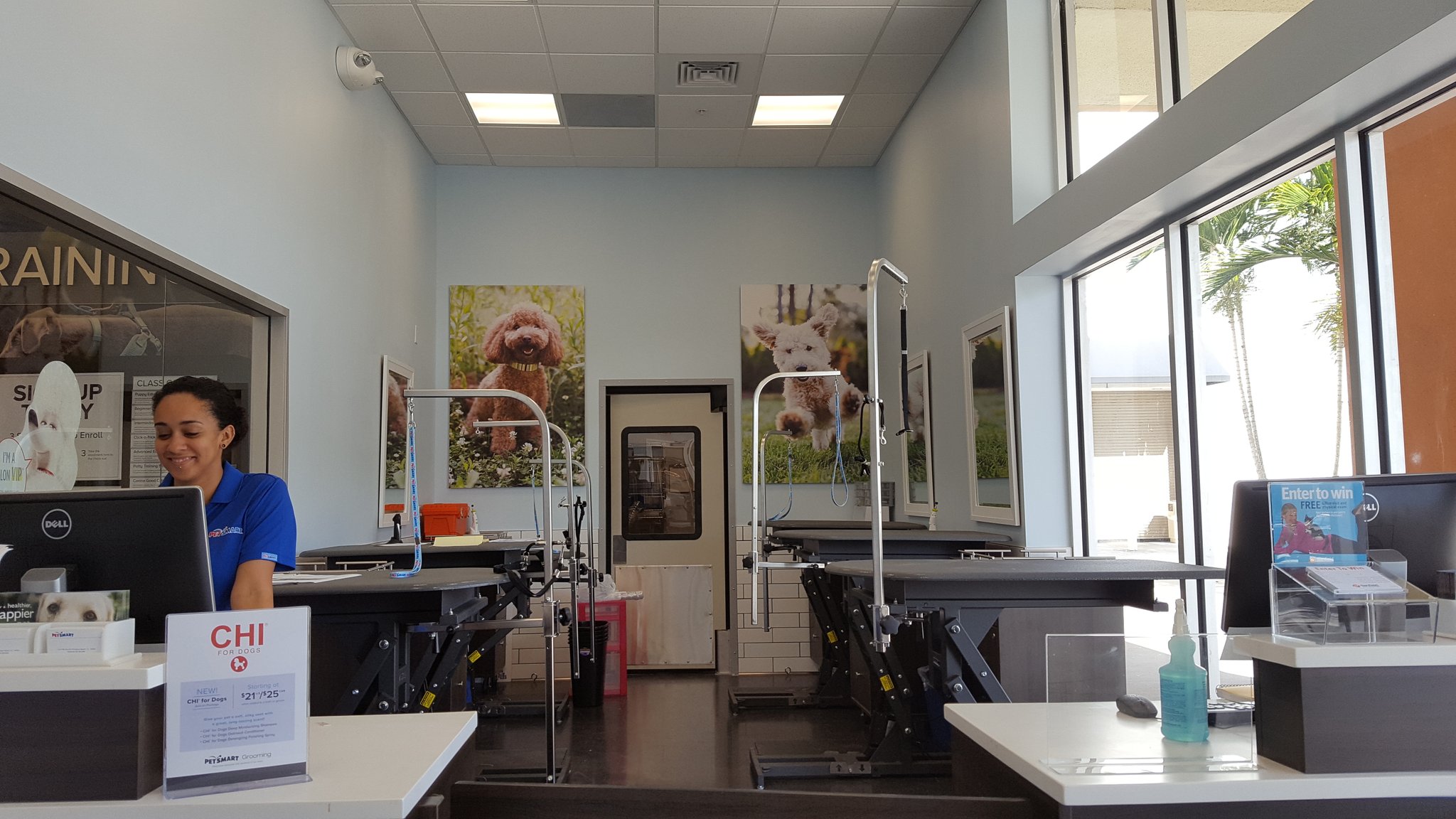Petsmart vip clinic sale