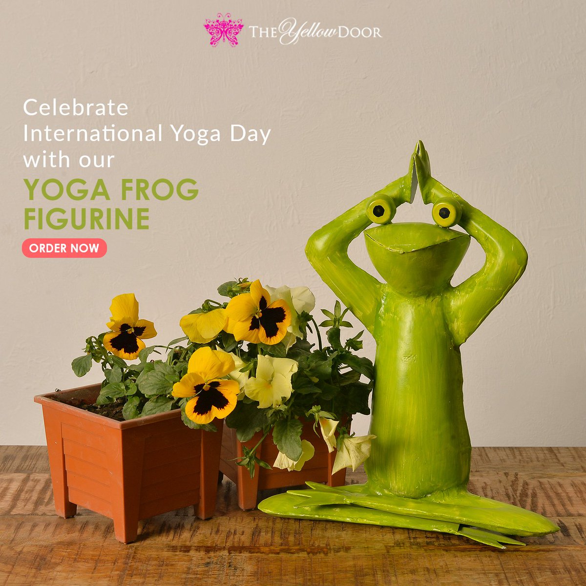theyellowdoor's tweet photo. Even our #Frogs are trying to get in shape this #YogaDay ! Check them out at https://t.co/LI8nXcQAWX  #yoga https://t.co/THF2WpIOi7