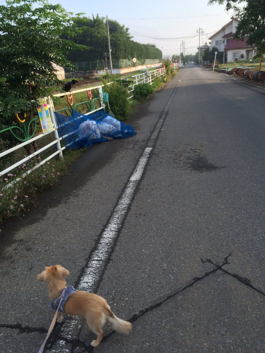 louk0115's tweet photo. https://t.co/WKZ0U88OSE