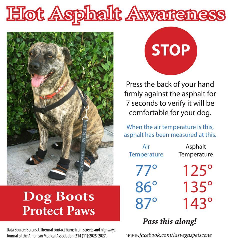 Hot Pavement - If it is too hot for our bare feet it is too hot for their paws! Keeping pets safe!