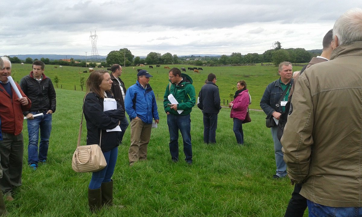 seandoorley's tweet photo. Beef tour of Pat & Annette Liddy and Ennis mart #newmartetonfergus #ennis #eufras #ialb https://t.co/NqwrRGNXp6