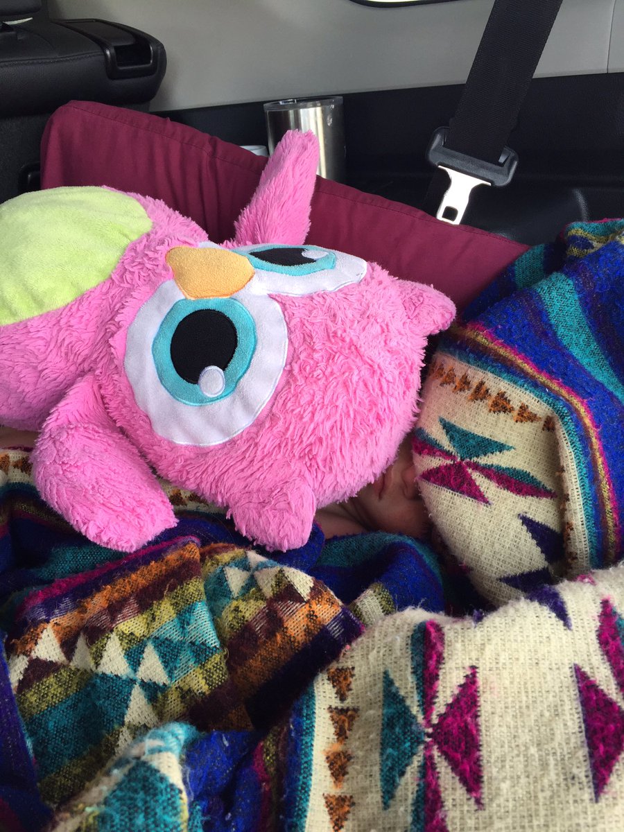 kyndaldriver's tweet photo. when you wanna sleep but it's a 12 hour drive #findeli https://t.co/hrXcfBL3wl