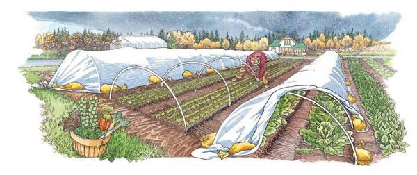 LittleGreenMeSA's tweet photo. Little Green Men Need a Seedling Tunnel! https://t.co/smnE4j8C6k https://t.co/1NvJ4hCotj