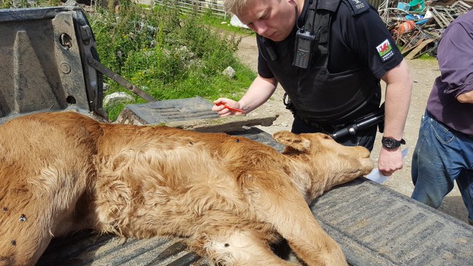 View image on Twitter View image on Twitter