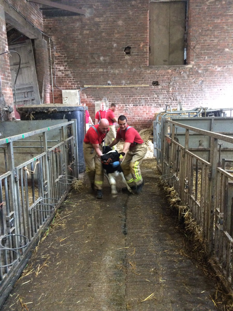 LFRS_USAR's tweet photo. @LFRS_USAR &amp; @fleetwood_fire doing Large animal rescue training @MyerscoughColl #NotJustFires https://t.co/PVBumtZam9