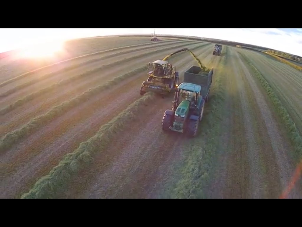 David Park tweet media