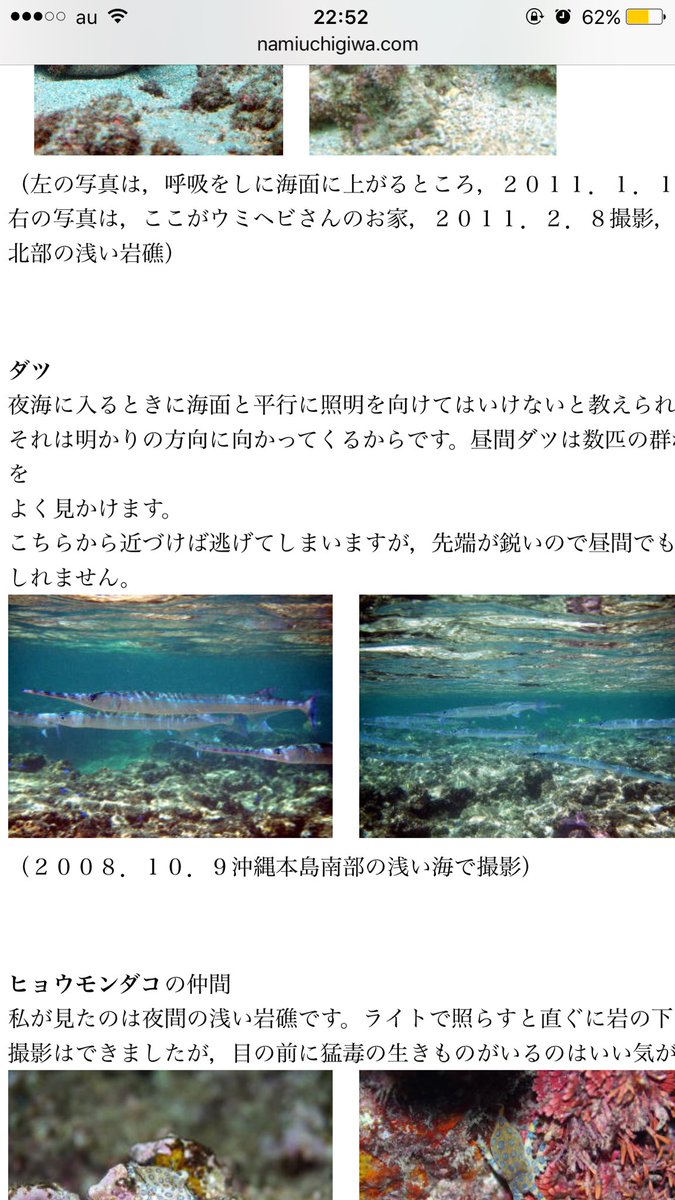 Kazuyuki かーくん 今日いた綺麗なカニ有毒カニだった 気になって色々検索したらビビる 沖縄の海が好きな人わ絶対みてね 沖縄綺麗な海 貝殻 生物 今まで普通に触ってた物や みたことあはる生物実わ危険 有毒 綺麗な貝殻きおつけて