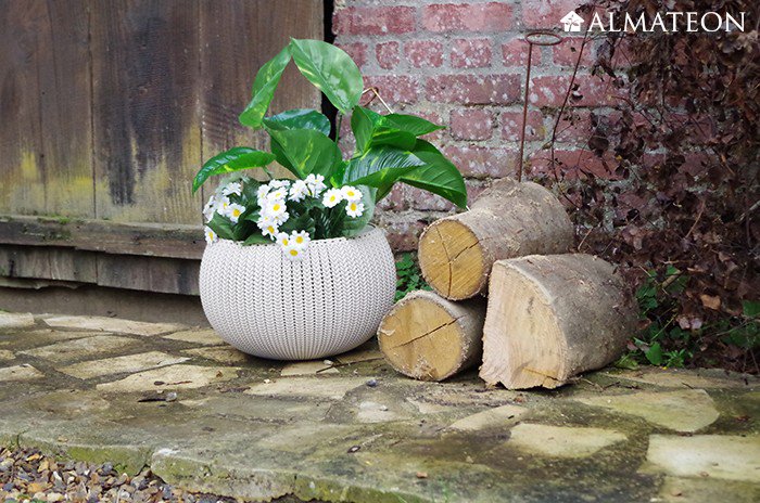 Almateon tweet media