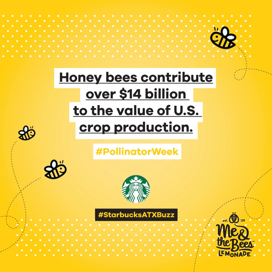 #DidYouKnow 🐝contribute $14B of value to US crop production? #ATX support w #MeAndTheBees <a href="/starbucks/">Starbucks</a> #pollinatorweek