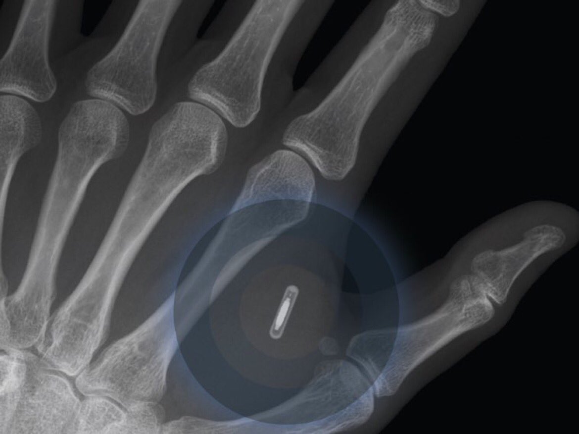 Vala Afshar tweet media