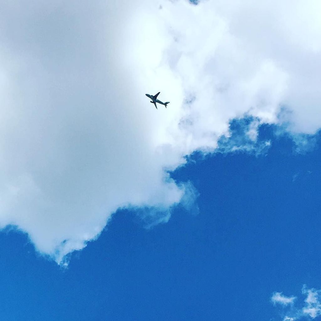 BarcelonaShoeCo's tweet photo. Blue skies ahead... #Summer #barcelonabound #shoes #wearthemeverywhere https://t.co/KpgFKbRi2S https://t.co/736DOX48FN