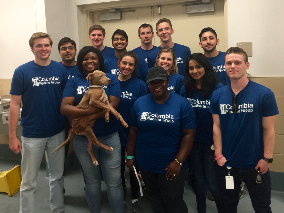 CPipelineGroup's tweet photo. Our terrific Houston interns #volunteering their time and talent at @BARC_Houston. Great job, team! https://t.co/0jBnodAhZY