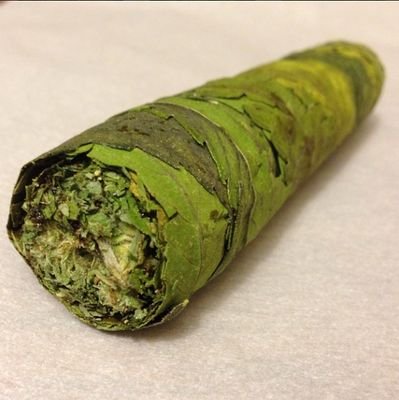 HuzaifaAbe's tweet photo. Sometimes I feel bad when I'm not with this #WEEd https://t.co/1OCVu3QqlE
