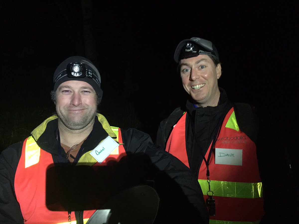 #flyingfox #dispersal begins #Catalina bit.ly/28N9QC8 #BatemansBay #bats