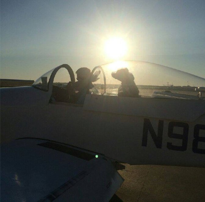 PilotsNPaws's tweet photo. Hulk/The Blind Little Pittie's PNP Freedom Flight Home
https://t.co/f5jvL6UlMG @LoisPope1 #subarulovespets #petmate https://t.co/9TbsngxOCb