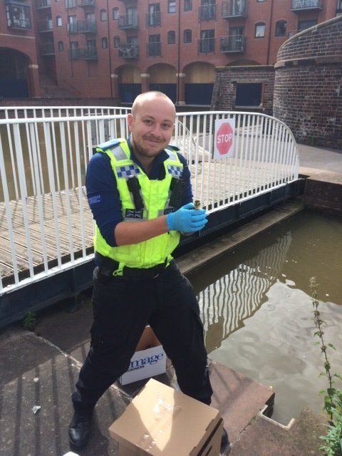member of the public reported a duck and her ducklings distressed in a city centre carpark with the