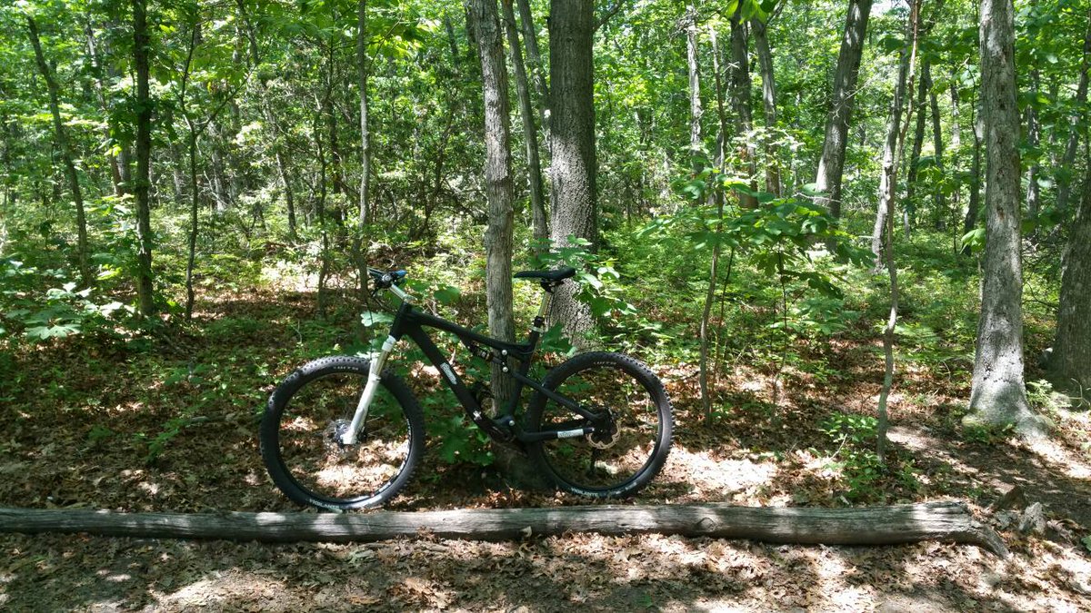 VisionMtb's tweet photo. Stillwell Woods mountain bike trail right now. #visionmtb #ridetheisland #mtb https://t.co/gsc9SXcvNS