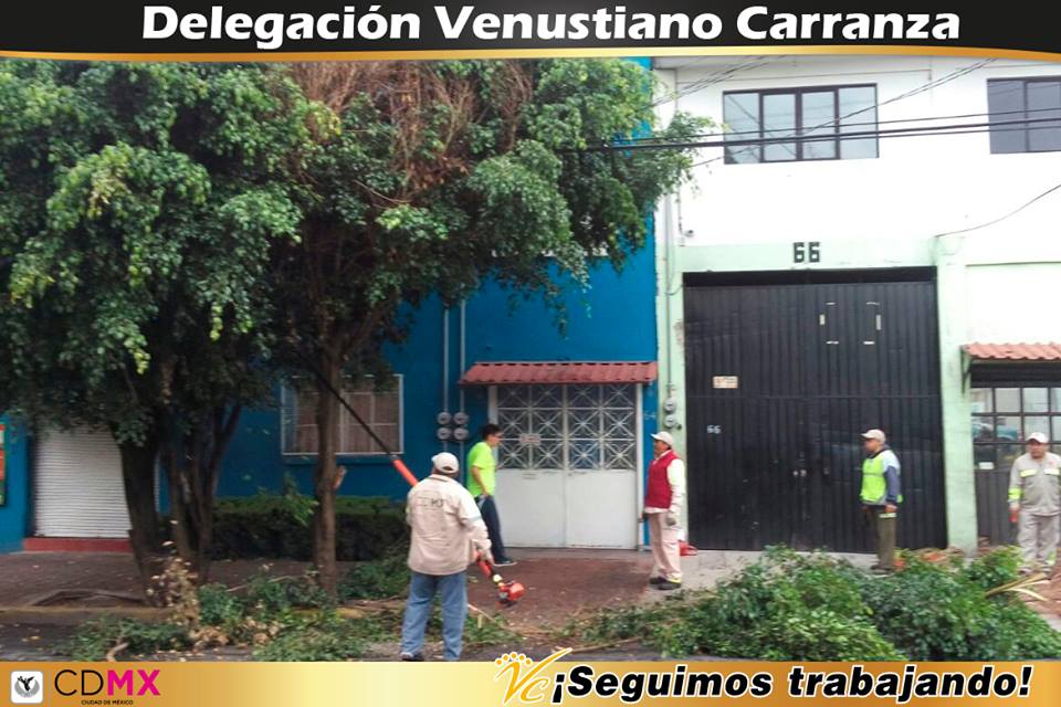 A_VCarranza's tweet photo. #SeguimosTrabajando En atención a las gestiones de nuestros vecinos, se realiza poda en la calle Rio Frío. https://t.co/tTgnVEByd2