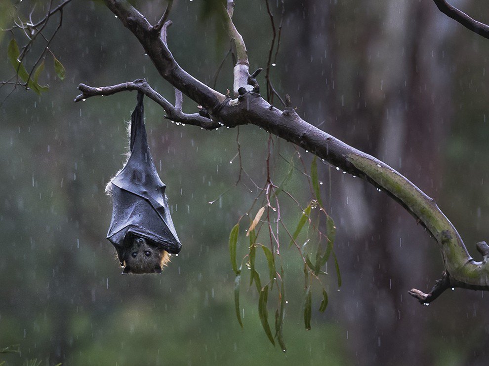 This image is pretty stunning. on.natgeo.com/1UEDk5x