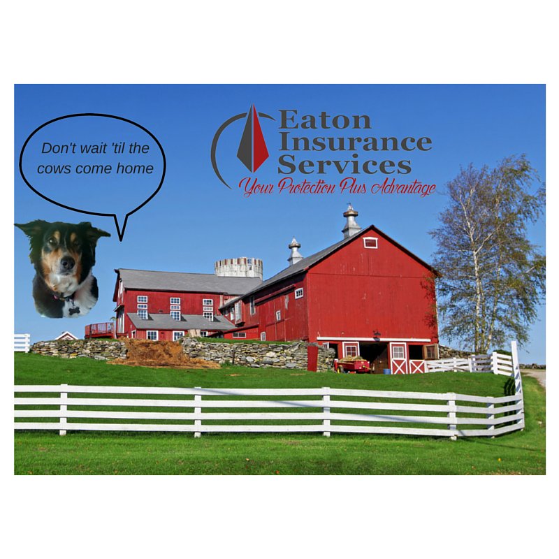 EatonInsurance's tweet image. Rosie says.........
Make sure your farm is covered properly!  Give us a call!
eatoninsuranceservices.com