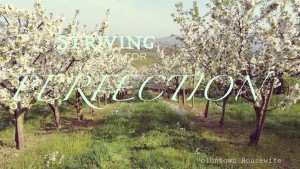 roadandtable's tweet photo. What a great reminder! Perfection is not where it's at! #notperfect #quittrying #faith https://t.co/fx87tqH4nr https://t.co/bKGYYJjH6h