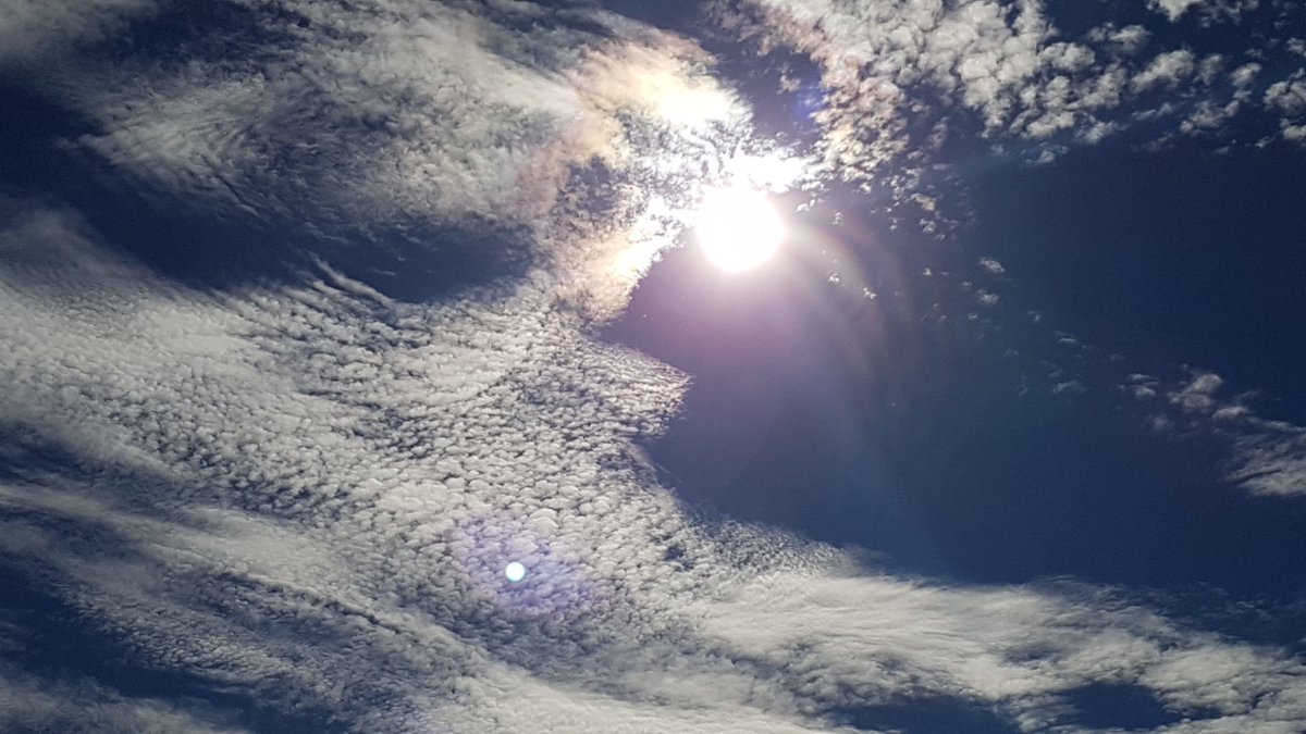 MeteoElRealon's tweet photo. @Preven_IIFF_CV @vizjes @ecazatormentas @MeteoCaudete @MeteoBetera
#Cirrius #Vesprada
#Picassent https://t.co/DNPQ8hQgk1
