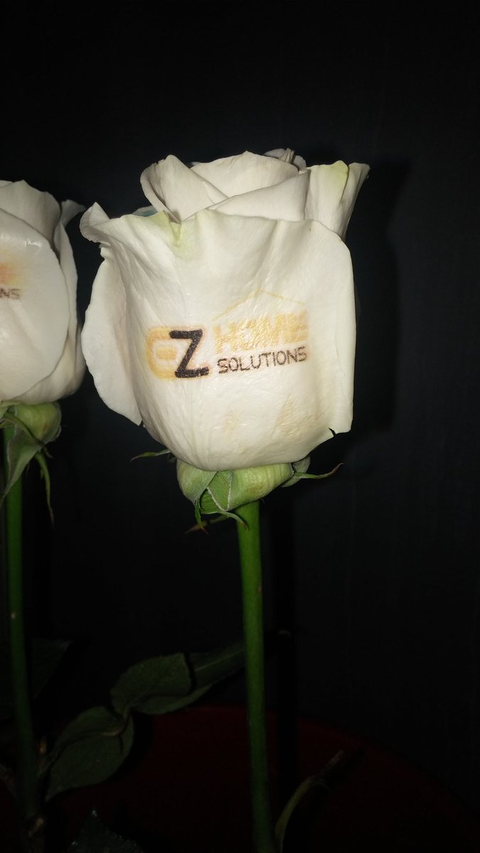 EZ Home Solutions otro cliente que confio en nosotros para su fiesta.
#rosas #flowers #events