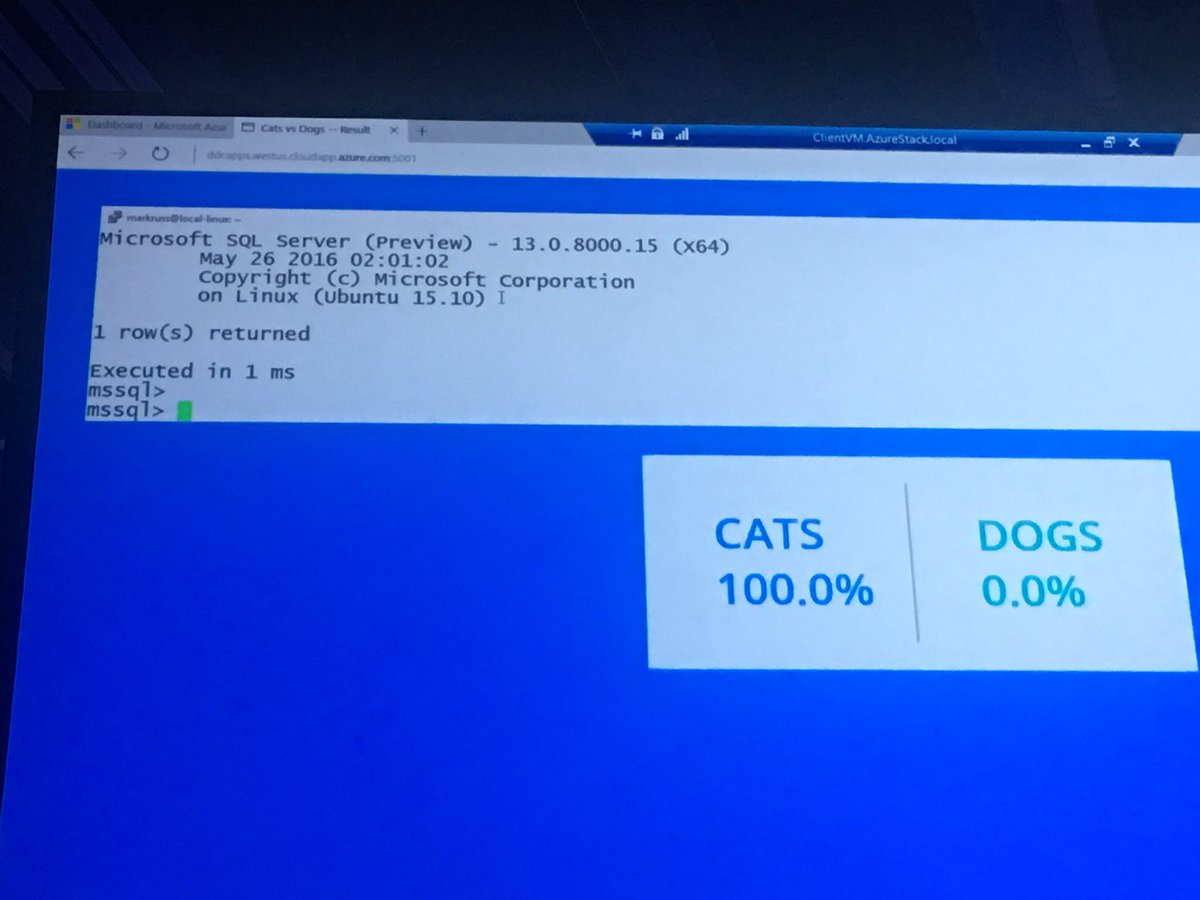 caldwellw's tweet photo. SQL Server running on Ubuntu Linux container! Microsoft is 'all-in' on supporting containers. @ISSNews #DockerCon https://t.co/P24GLGjhe1