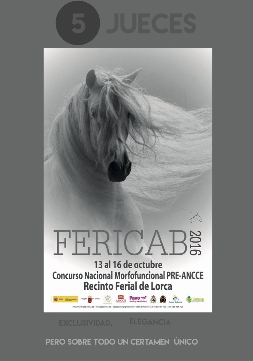 Fericab_Lorca's tweet photo. Este año contaremos con 5 JUECES en el concurso morfológico, puntuable para la final mundial de pura raza.
#fericab https://t.co/Gz6KGJF8TQ