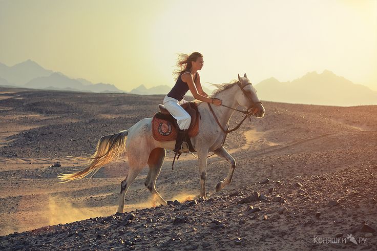 B2BSolutionsFOS's tweet photo. Whether inhaling the salty sea air or riding through a desert - just #wander https://t.co/l4sgPXKrVF #traveltuesday https://t.co/f39jcU33Zc
