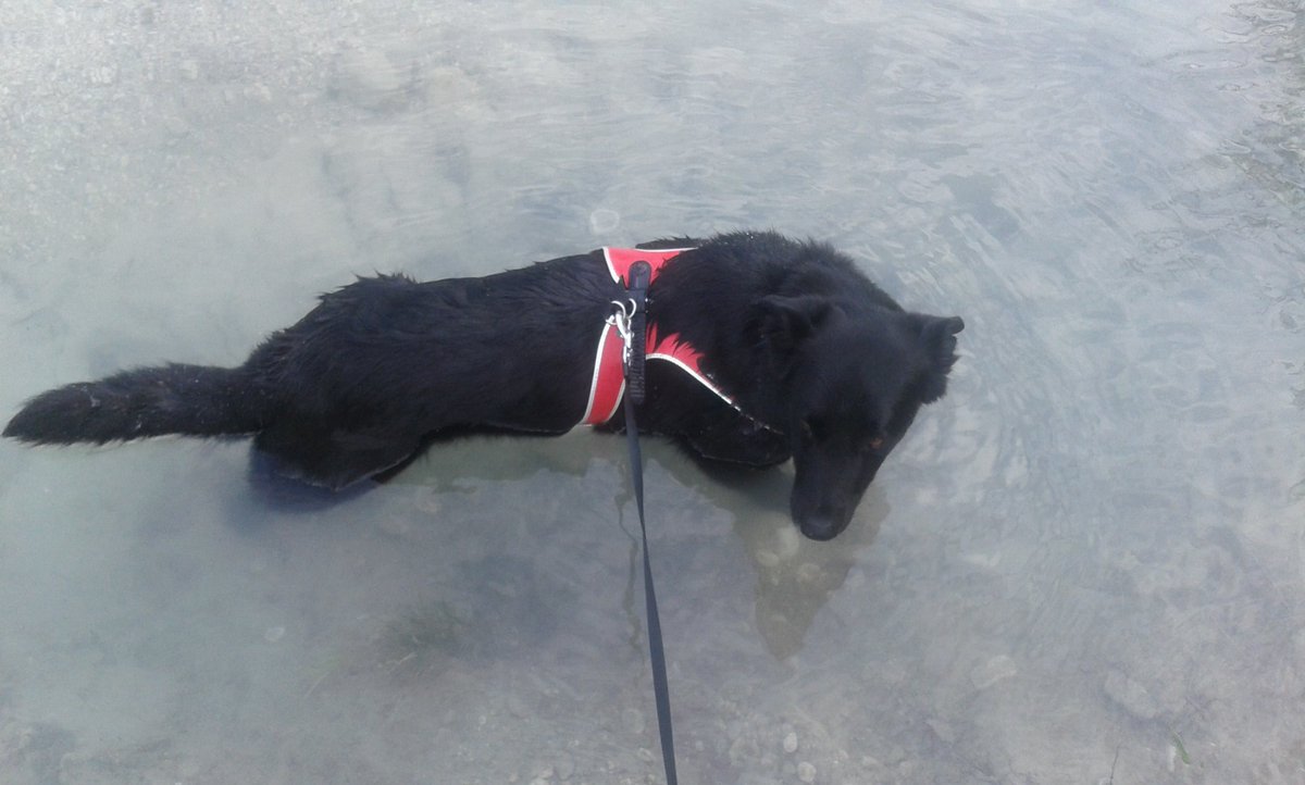 JelenaJal's tweet photo. Tolmin. Soča. #Dona #oddih https://t.co/hqh6VCN2Zs