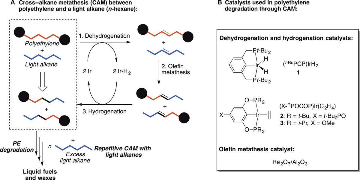 olefin metathesis green chemistry Olefin metathesis olefin metathesis is a chemical reaction in which a molecule with a pair of carbon-carbon double bonds, known also as olefins or hydrocarbons, come. olefin metathesis green chemistry Olefin metathesis olefin metathesis is a chemical reaction in which a molecule with a pair of carbon-carbon double bonds, known also as olefins or hydrocarbons, come.