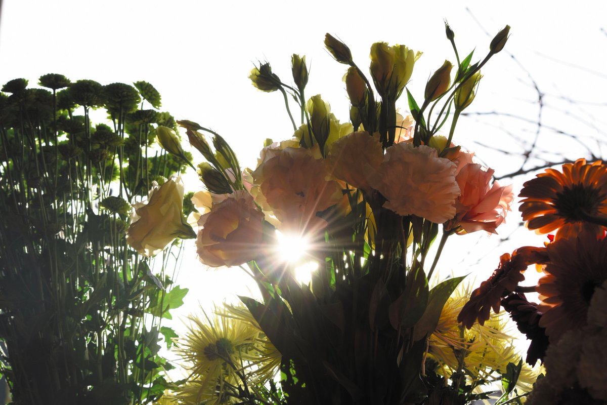 revistabla's tweet photo. Pasión en ramo: el portafolio de flores y plantas de Santiago Barriola.
Leé la nota: #BLa102
https://t.co/m4nJPebW5G https://t.co/06xBcnbOuU