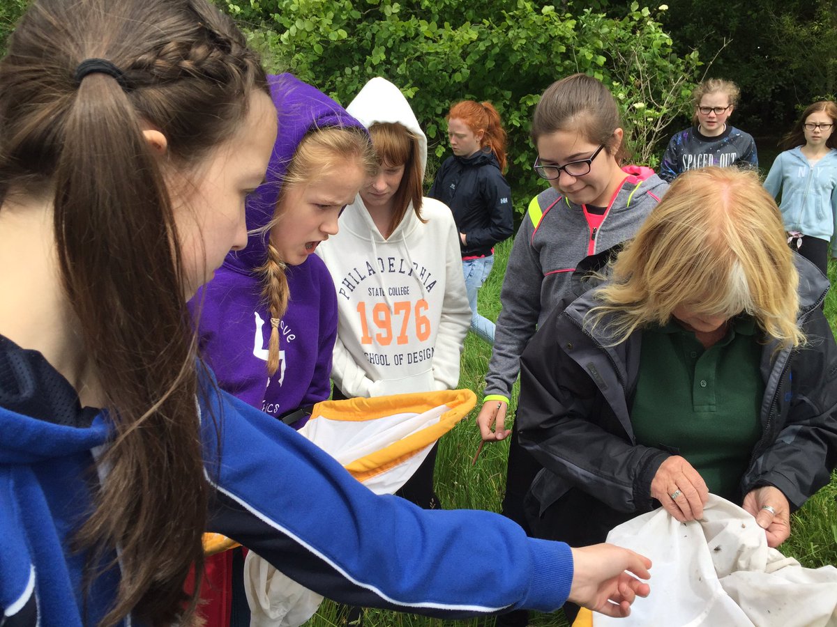 AGSGeog's tweet photo. Our favourite activity today had to be sweeping for butterflies!! https://t.co/nBCg6AjWoc