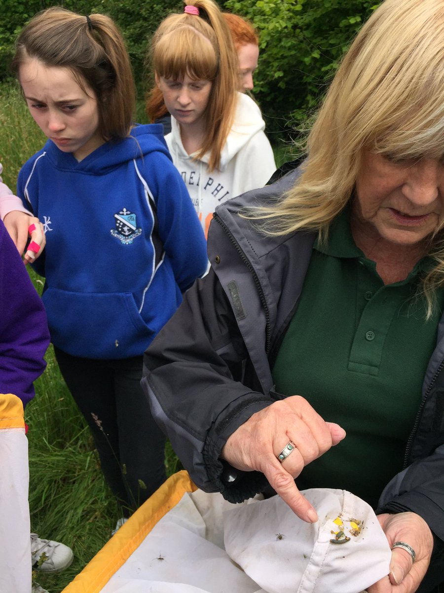 AGSGeog's tweet photo. Our favourite activity today had to be sweeping for butterflies!! https://t.co/nBCg6AjWoc