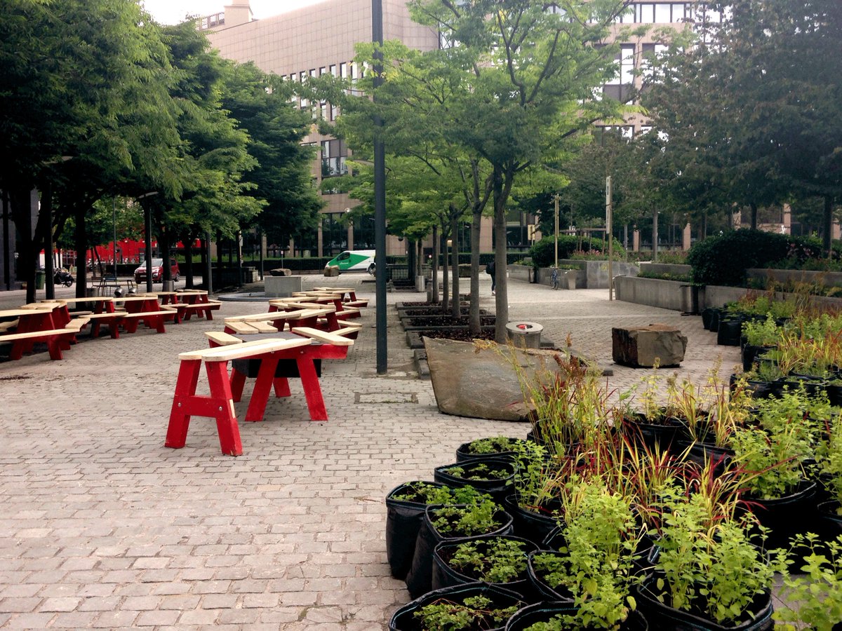europeancanteen's tweet image. Oh my...! Look at those wonderful tables and this cute #herbgarden! Tomorrow we'll announce the #Openingevent !