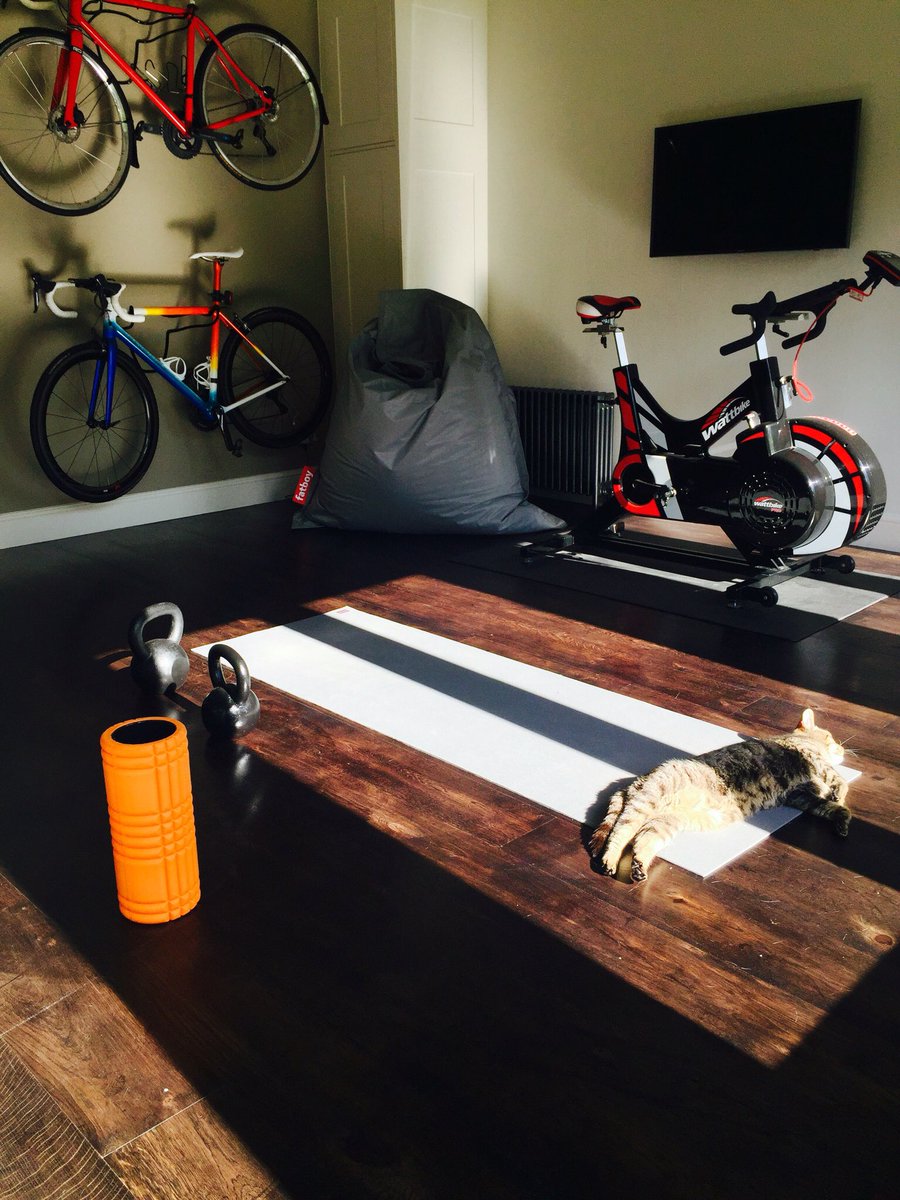 JaneBatesIntDes's tweet image. Celebrating #InternationalYogaDay - clearly cat pose is being demonstrated as it really should be done