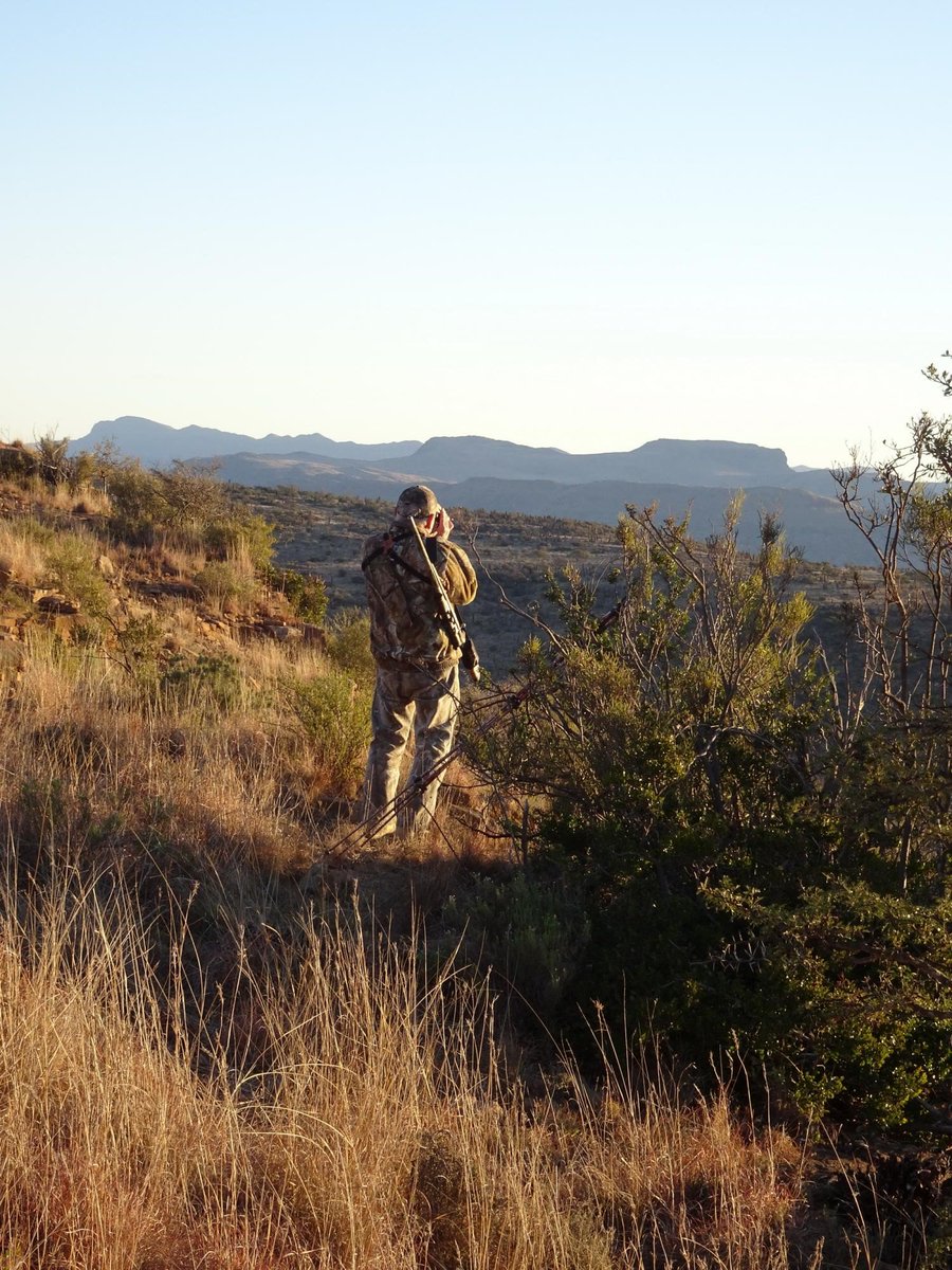 Let's go on #safari!  It all starts with <a href="/huntershill123/">Huntershill</a> at #UKGameFair 22-24 July, #StoneleighPark. Don't miss out!